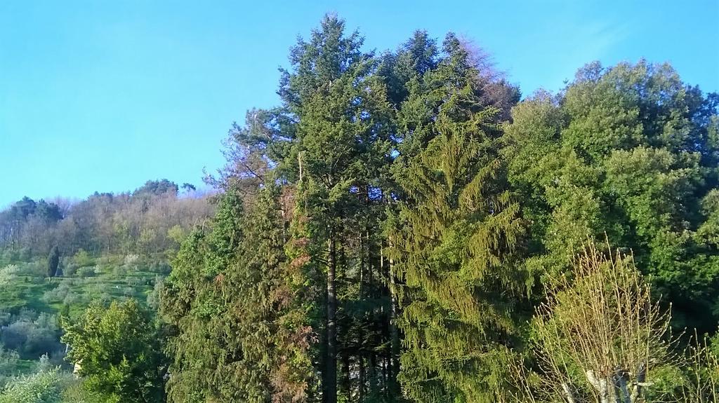 Casa Ginevra Villa Bagni di Lucca Buitenkant foto