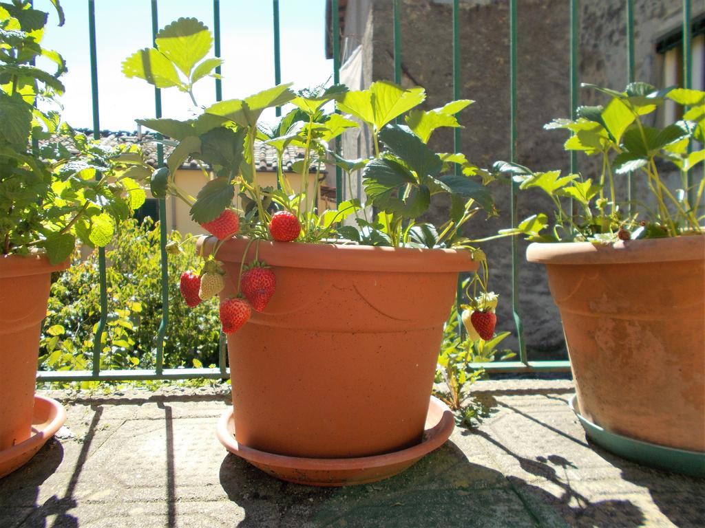 Casa Ginevra Villa Bagni di Lucca Buitenkant foto